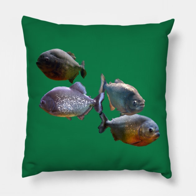 Red-Bellied Piranha Pillow by stargatedalek