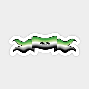 aromantic pride banner Magnet