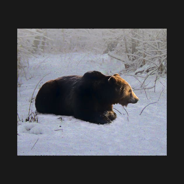 Brown bear in the snow by Guardi