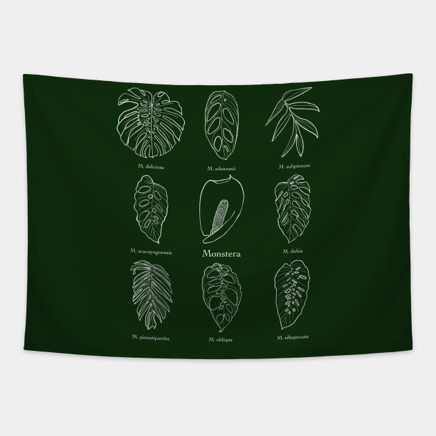 Monstera genus Tapestry by thenordicjungle