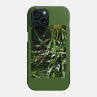 Raindrops on the Grass Phone Case