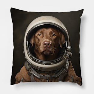 Astro Dog - Chesapeake Bay Retriever Pillow