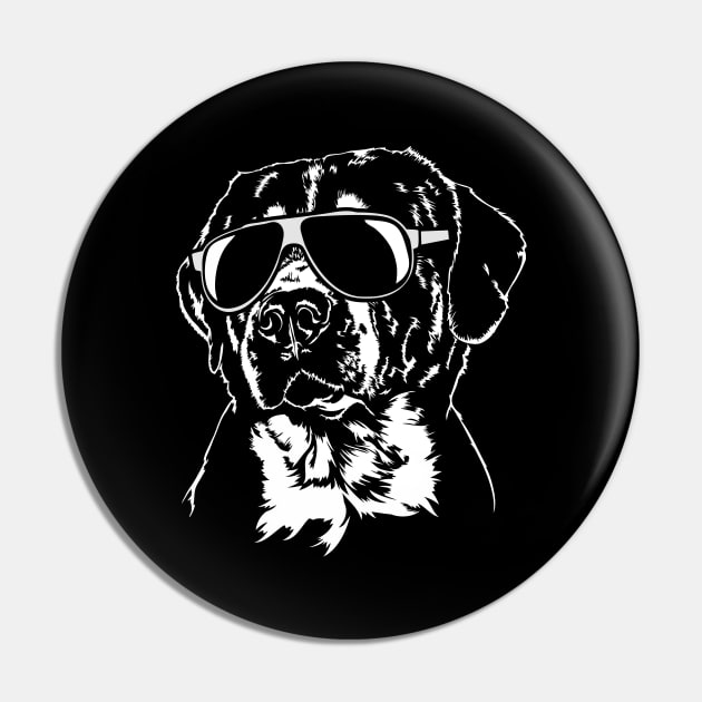 Proud Greater Swiss Mountain Dog sunglasses cool dog Pin by wilsigns