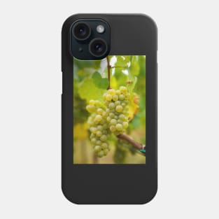 Ripening grapes on the vine Phone Case