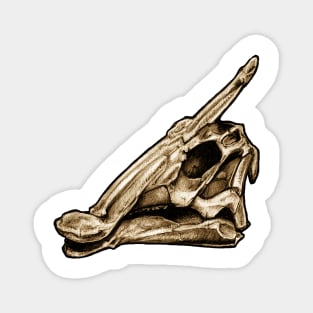 Dinosaur Skull Saurolophus Magnet