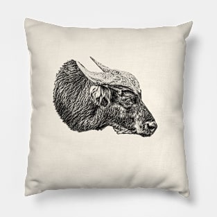 African forest buffalo Pillow