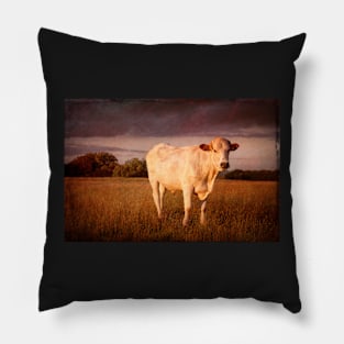 Bullock#6 Pillow