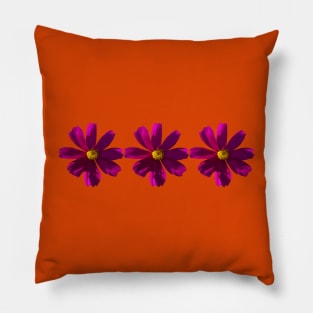 Three Dark Pink Cosmos Flowers Floral Photo Pillow