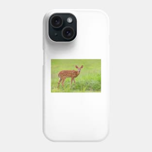 Fawn - White-tailed deer Phone Case