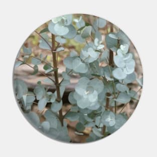 Silver Dollar Eucalyptus Leaves Pin