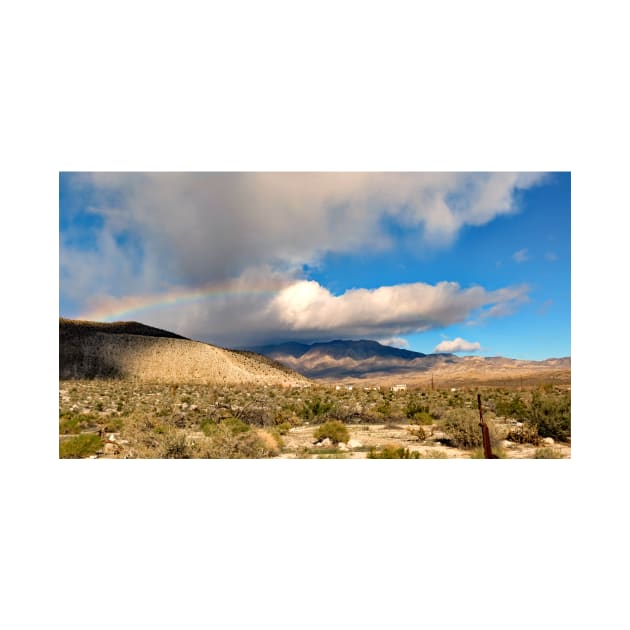 Anza Borrego Desert State Park by supernova23