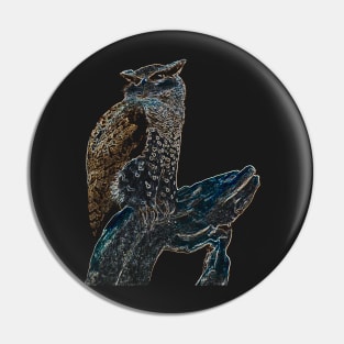 owl colored Pin