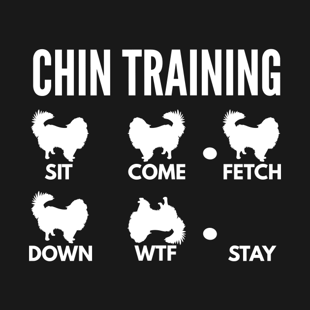 Chin Training Japanese Chin Tricks by DoggyStyles