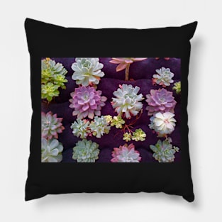 Succulents 2 Pillow