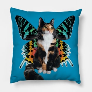 Longhair Calico Sunset Moth Flitter Kitty Pillow