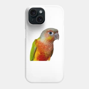 Pineapple Green Çheeked Conure Parrot Bird Phone Case