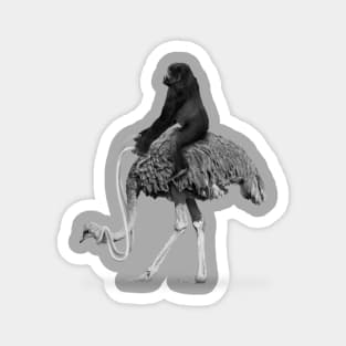 Ostrich Ride Magnet