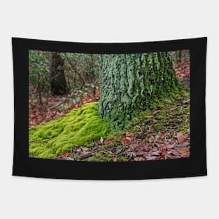 Moss Bed Tapestry