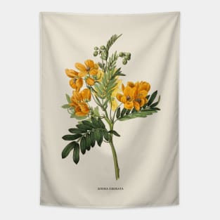 Wildflower Antique Botanical Illustration Tapestry