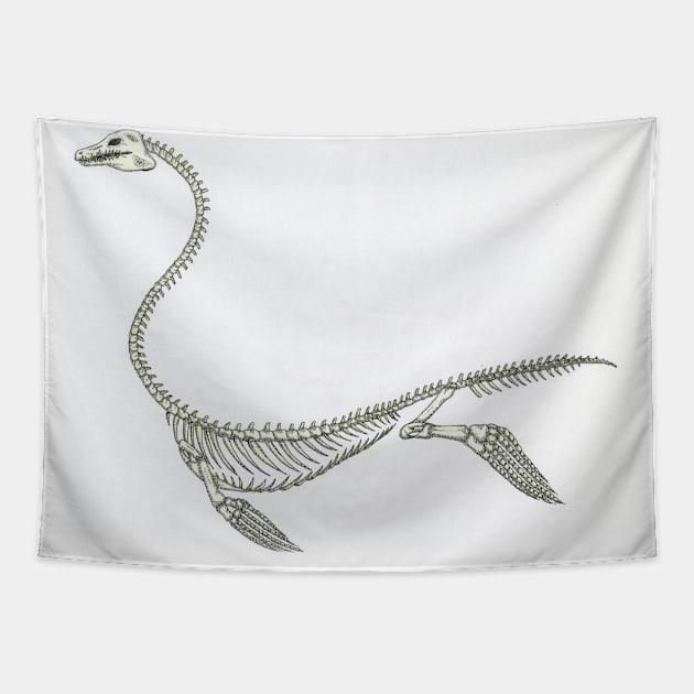 Plesiosaur skelleton Tapestry by PsychicHuldra