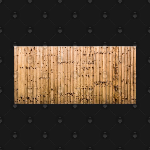 Texture of the wooden fence by flashcompact