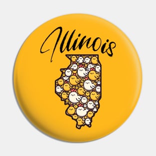 Illinois Pin