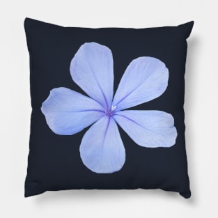 Pale Blue Floral with BACK PRINT Pillow