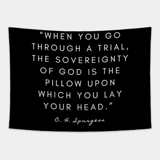 Charles Spurgeon sovereignty of God Tapestry