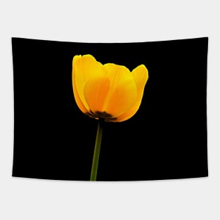 The Delightful Yellow Tulip Tapestry