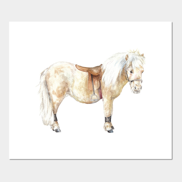 Shetland Pony Ready To Ride Horse Pony Posters And Art Prints
