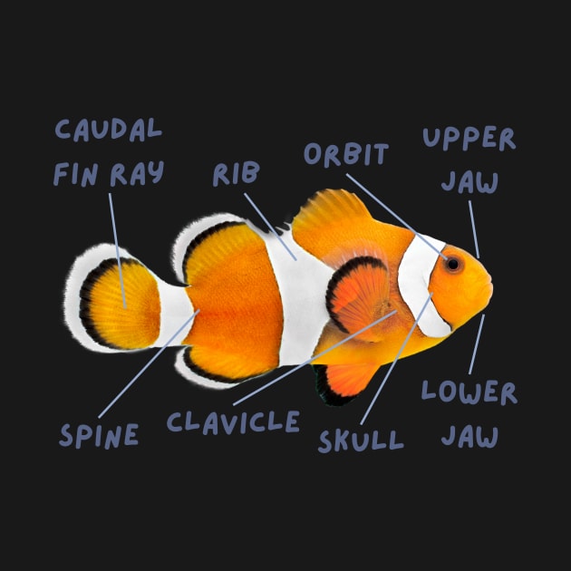 Anatomy of a Clownfish And Funny Labels by CentipedeWorks