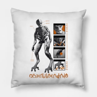 Resident Alien Diagram Pillow