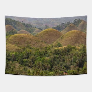 The Chocolate Hills, Carmen, Bohol, Philippines Tapestry