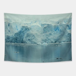 Iceberg (Soft) Tapestry