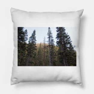 Heart of the Forest Pillow