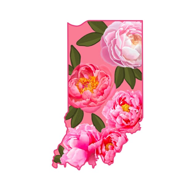 Indiana State Flower Peony by avadoodle