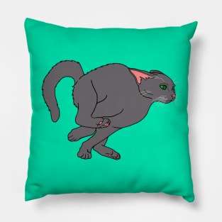 Racing Hyper Gray Cat Pillow