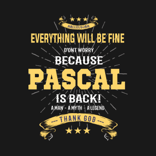 Everything will be fine Pascal Is back T-Shirt