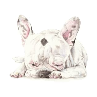 Frenchie T-Shirt