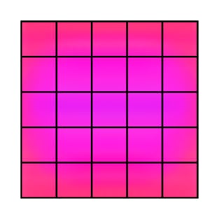 Grid with Hot Pink T-Shirt