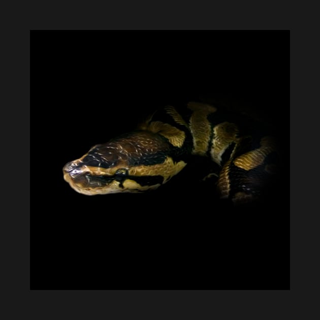 Python by Guardi