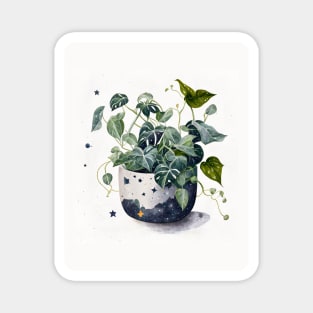 Lively Pothos Plant Illustration in a Decorative Pot with Cosmic Theme Magnet