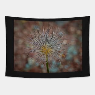 Pasqueflower Tapestry