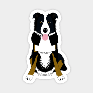 Cute dog Border Collie Magnet