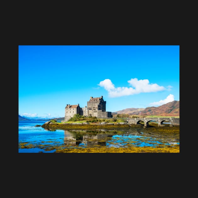 Eilean Donan Castle reflections by RosNapier