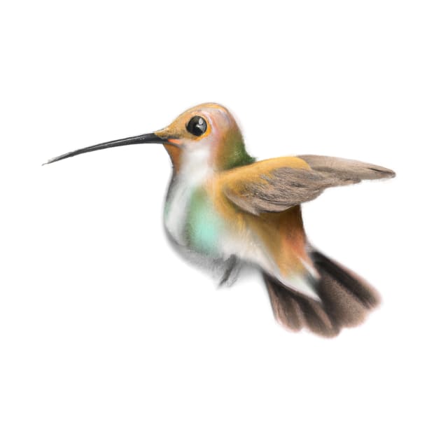 Cute Hummingbird Drawing by Play Zoo