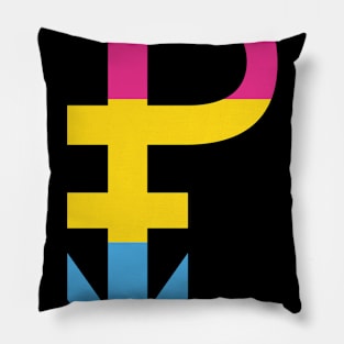 Gay LGBTQ Trans Pansexual Gay CSD Gift Pillow