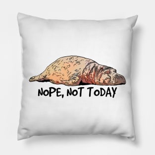 Funny Lazy Hippo Pillow