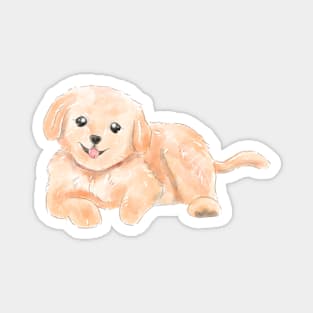 baby golden retriever Magnet