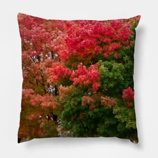 Fall autumn trees changing leaves Pillow